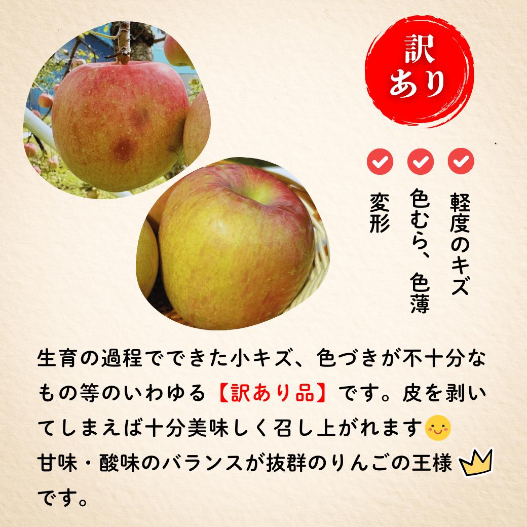 【先行予約】【訳あり】サンふじ 【約10kg(22〜40玉）】（2025年産）(7-A39-3)