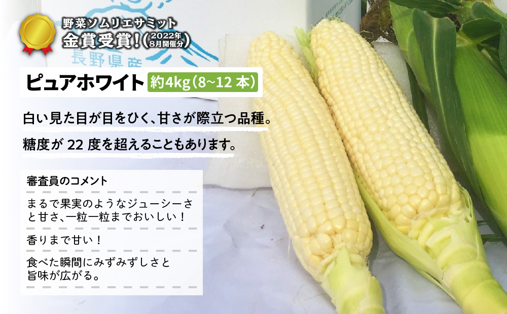 【2024年先行予約】東御市産とうもろこし（ピュアホワイト）約４kg（８~１２本） | スイートコーン※2024年７月中旬頃?2024年９月上旬頃に順次発送予定※着日指定不可