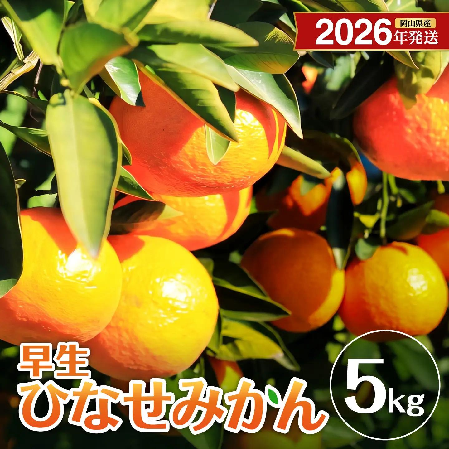 【先行予約】ひなせみかん 早生約5kg（2026年11月～12月頃発送）【みかん】