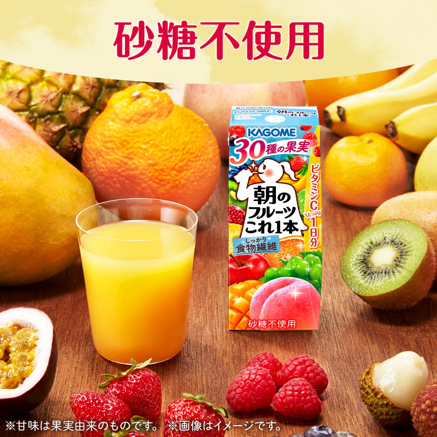 【 定期便 9ヶ月連続お届け】カゴメ 朝のフルーツこれ一本 200ml×48本 果実ミックス飲料 30種の果実 1日分のビタミンC 1日分の果実 添加物不使用 砂糖不使用 食物繊維 植物性乳酸菌 果実