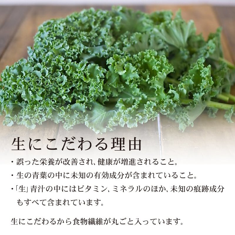 豆乳青汁 【生】 冷凍 2箱 5.6kg( 100g × 56袋 ) | 健康 美容 乳酸菌 国産 ケール 大豆 ビタミン ミネラル 食物繊維 冷凍 ロングセラー お試し青汁 遠藤青汁 新鮮 高知県 