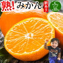 【ふるさと納税】先行予約 訳あり みかん 【選べる内容量】約5kg もしくは 約10kg 【2024年10月上旬から2025年2月下旬発送予定】熊本みかん ミカン 蜜柑 柑橘 熊本県 宇城市 送料無料