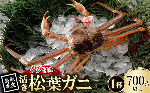 【先行予約】鳥取県産 タグ付き 活 松葉がに 700g×1杯(中村商店)25年12月・26年1月発送【配送不可地域：離島・北海道・沖縄県・東北・信越、北陸】