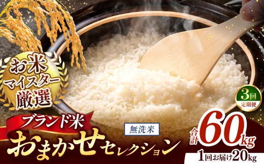 【 令和7年産 】おまかせ セレクション 【定期便3回】熊本県産 無洗米  ＜ひのひかり / 森のくまさん / くまさんの輝き ＞ 20kg  | 単一銘柄 米 単一米 お米 こめ 小分け 人気 コメ お米 5kg 10kg 15kg 20kg 25kg 30kg 定期便 3回 6回 12回 ブランド米 菊池川流域 家庭用 送料無料 熊本 くまもと 熊本県 和水 和水町 人気 ごはん