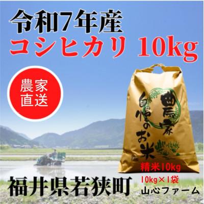 ふるさと納税 若狭町 【令和7年産】福井県若狭町コシヒカリ(1等米)10kg