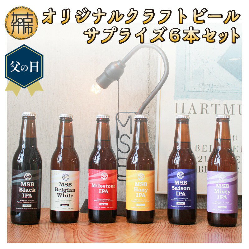 【ふるさと納税】＼父の日／オリジナルクラフトビールサプライズ6本セット《 おすすめ 酒 プレゼント クラフトビール ビールセット ビールギフト 飲み比べ 詰め合わせ お取り寄せ グルメ 送料無料 贈答用 ギフト プレゼント 贈り物 》