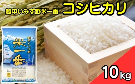 【R7年産米】越中いみず野米一番 10kg（コシヒカリ）｜お米 令和7年産米 ブランド米 銘柄米 等級検査 1等米 こめ 送風乾燥 色彩選別 低温貯蔵 白米 10キロ 富山県産 射水市産  ※2025年9月中旬～2026年8月下旬頃に順次発送予定