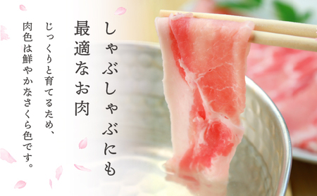 肥前さくらポークローススライス1300ｇ／ ふるさと納税  ブランド豚 豚肉 国産 国産豚 佐賀県 大町町  冷凍