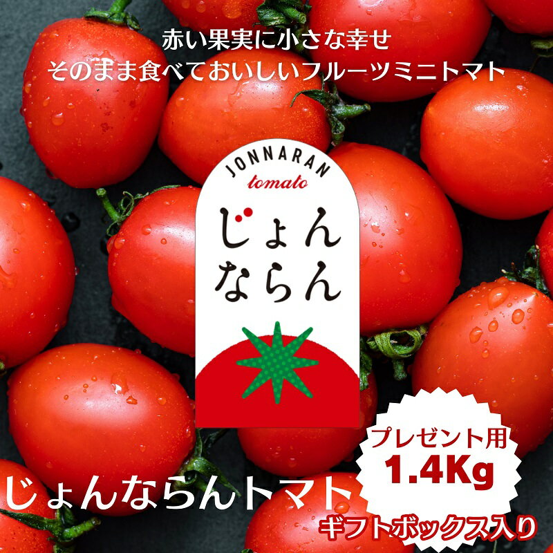 【ふるさと納税】モリヒロ園芸が育てたじょんならんトマト（ギフトボックス入り） 野菜 ミニトマト サラダ 糖度高め 甘味 酸味 リコピン 　お届け：8月は配送期間外となります。（7月後半にご入金いただいた場合は、9月に入ってからの配送とさせていただきます。）