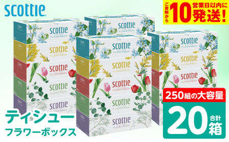 スコッティ ティッシュ 250組 20箱 ティシュー