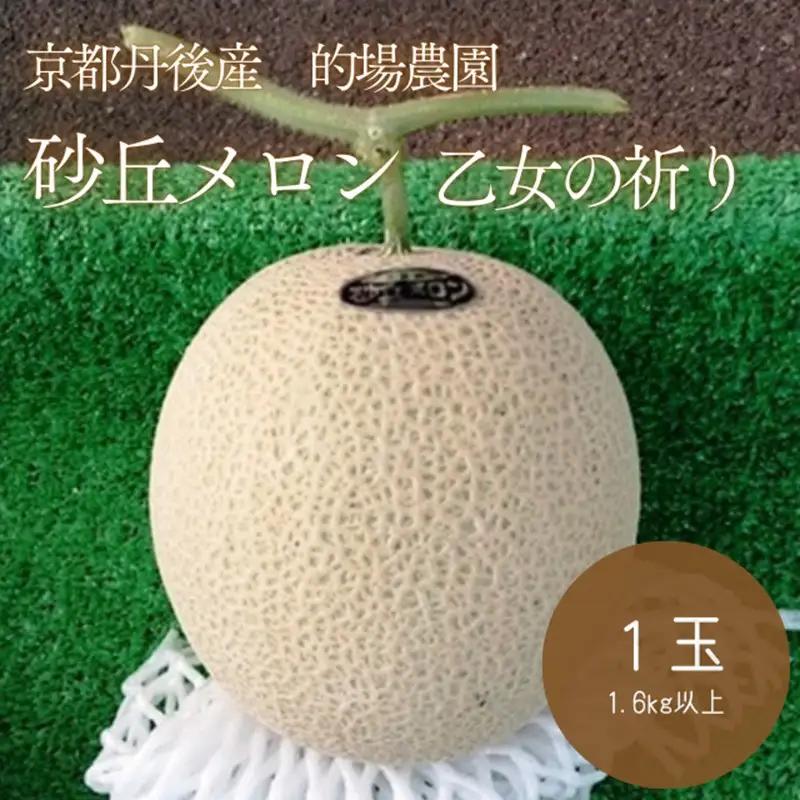 【先行予約】京都丹後久美浜産　砂丘メロン【オトメの祈り】　2Lサイズ／1玉入（2026年7月中旬～発送） ふるさと納税 国産 砂丘 メロン 果物 フルーツ 京都 丹後 久美浜 めろん 農家応援 生産者応援 送料無料