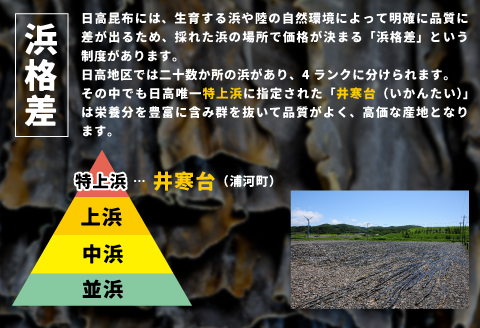特上浜 井寒台(いかんたい)産 日高昆布(一等昆布)300gx1[34-833]