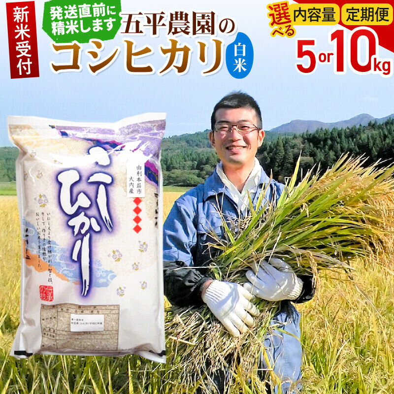【ふるさと納税】《令和8年産 新米受付》【白米】コシヒカリ【選べる容量 5kg／10kg＋お届け回数 1回〜】秋田県産 五平農園のコシヒカリ 《12月発送予定》 [コシヒカリ 新米受付 米 お米 こめ 白米 精米 ブランド米 ご飯 ごはん おにぎり食卓]