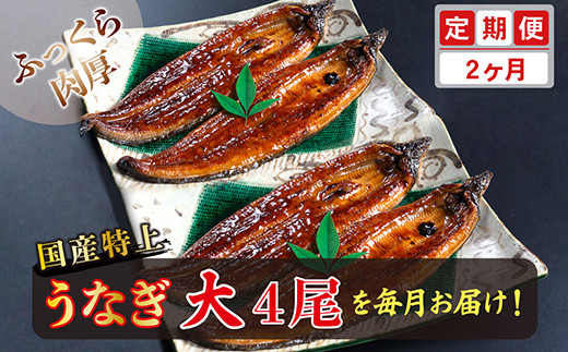 【定期便２回】国産！特上うなぎのかば焼き 約200g × 4尾 × 2回お届け （毎月お届け）