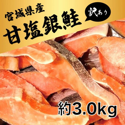 【ふるさと納税】訳あり 銀鮭切身(甘塩)約3kg / 宮城県 女川町【配送不可地域：離島】【1641035】