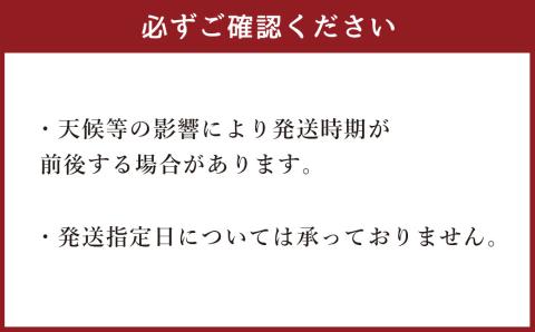 【5月31日迄受付】〈アールスメロン2L以上 2玉(田中光顕)〉2023年6月上旬～6月下旬迄に順次出荷 メロン 果物 くだもの フルーツ 宮崎県 高鍋町