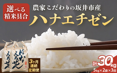 定期便 ≪3ヶ月連続お届け≫【令和7年産】 坂井市産 ハナエチゼン 10kg (5kg×2袋) × 3回 (計30kg) 【白米】 米 コメ お米 華越前 [J-10201_01]