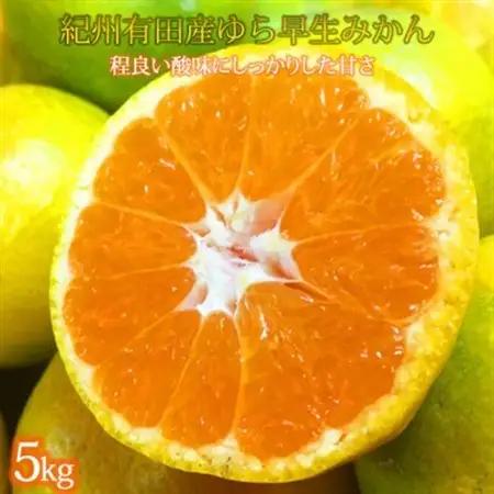 【2026年10月下旬以降より発送】【日高町】紀州和歌山有田産ゆら早生みかん　5kg【1217366】