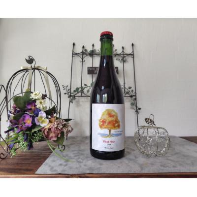 ふるさと納税 塩尻市 ヴォータノワイン醸造　TAMAI wine ピノノワール(樽熟)