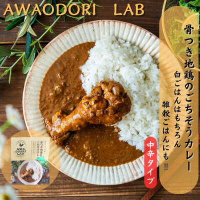【ふるさと納税】阿波尾鶏骨つき地鶏のごちそうカレー　10食