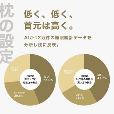 ふるさと納税 我孫子市 50代向けの枕 THE PILLOW Preset 20 50s |  | 01