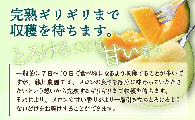 北海道産 有珠メロン 青肉 4～5玉 計約8kg ツル付き グリーンメロン 果物 めろん フルーツ くだもの 完熟 旬 ご褒美 ギフト お祝い 贈り物 お中元 産地直送 お取り寄せ 北海道 藤川農園 