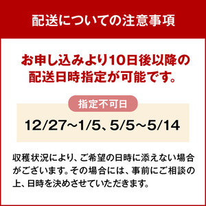 マンスリーブーケ10本とわばらの枝葉　 WABARA　Rose Farm KEIJI ふるさと納税 デザインが毎月変わる マンスリーブーケ ブーケ 花束 贈り物 WABARA 20本 わばらの枝 ギフ