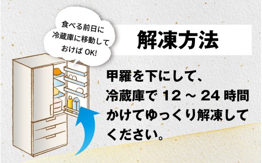 【先行予約】【数量・期間限定】福井県産 紅ズワイガニ ×3杯【急速冷凍】（プロトン凍結）【12月より順次発送】