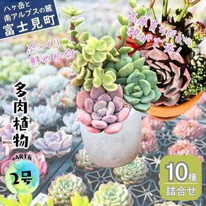 八ヶ岳育ち 多肉植物 eARThコレクション ラベル付き おまかせ詰合せ 2号 10鉢 インテリア多肉植物 おしゃれ多肉植物 ギフト多肉植物 高冷地多肉植物