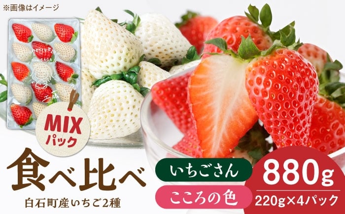 
            【R8年1月以降発送】こころの色×いちごさんミックス 紅白いちごセット 計880g（220g×4パック） 【Strawberryfarm-K】 紅白いちご 希少 いちご 果物 フルーツ いちごさん セット [IBJ027]
          