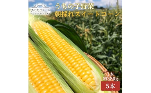 うちの子野菜　朝採れスイートコーン　5本  とうもろこし コーン セット