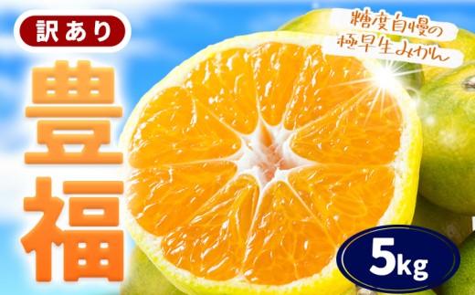 【先行予約】訳あり 極早生みかん 「豊福」5kg 箱入り 都呂々みかん生産者グループ《2026年10月中旬-11月下旬頃出荷》 フルーツ 果物 くだもの 柑橘 みかん ミカン 蜜柑 熊本県 苓北町【配送不可地域あり】