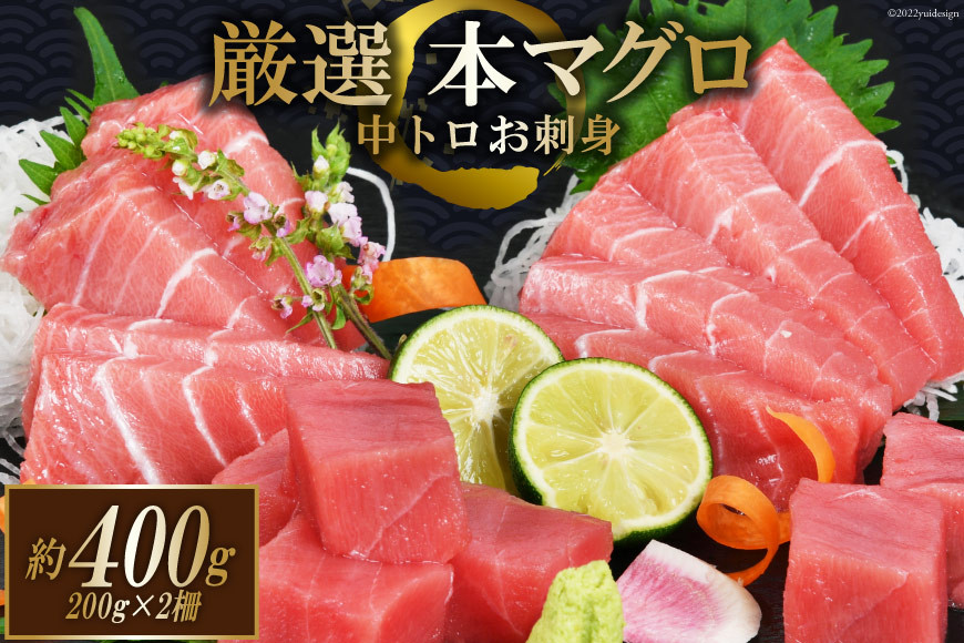 
まぐろ 本マグロ背トロ 約400g(200g×2柵) [豊洋海産流通 宮城県 気仙沼市 20563371] 中トロ 刺身 冷凍 レビューキャンペーン
