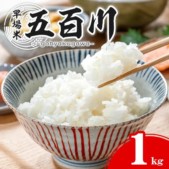 【令和8年産 新米】五百川 1kg お米 おこめ 米 コメ 白米 早場米 極早生品種 ご飯 ごはん おにぎり お弁当【赤間農業開発株式会社】ta716