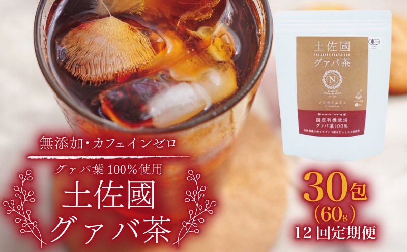
            【12回定期便】土佐國グァバ茶（2g×30包） | お茶 飲料 茶 おちゃ 飲み物 グアバ 葉 国産 人気 おすすめ 食物繊維 高知県 南国市
          