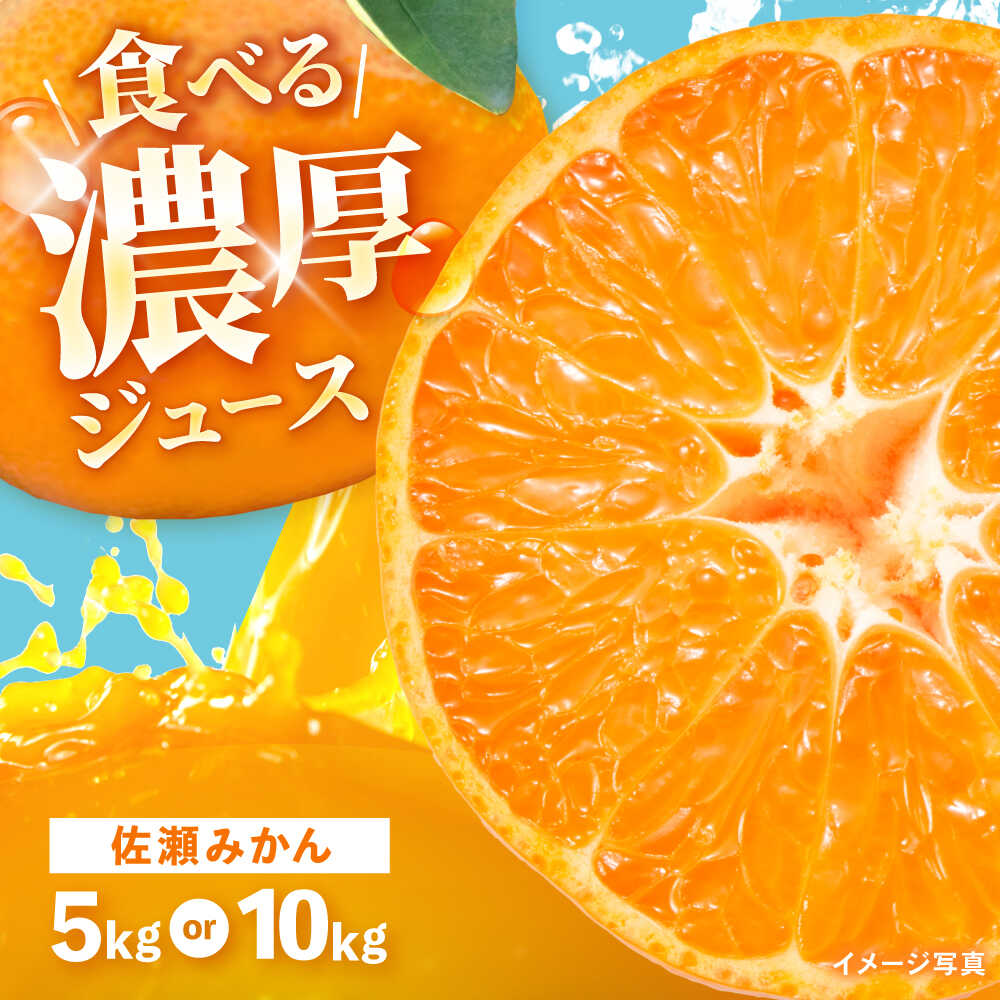 【ふるさと納税】※【2026年11月より順次発送／先行予約】【食べる濃厚ジュース】佐瀬みかん 5kg 10kg / みかん ミカン 蜜柑 オレンジ 柑橘 フルーツ ふるーつ 果物 くだもの みかんジュース 甘い / 諫早市 / 一正[AHFL001]