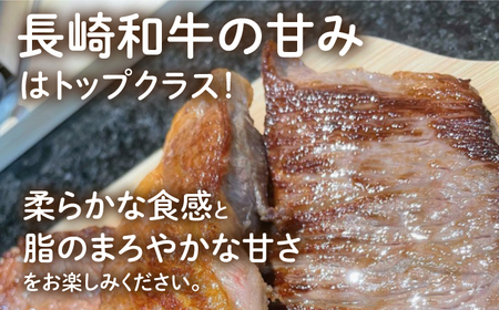【3回定期便】 長崎和牛 サーロインステーキ 250g×2枚 [ECT010]  国産 長崎和牛 和牛 サーロインステーキ サーロイン ステーキ さーろいん 2枚 牛肉 冷凍 ソース付き ギフト お祝