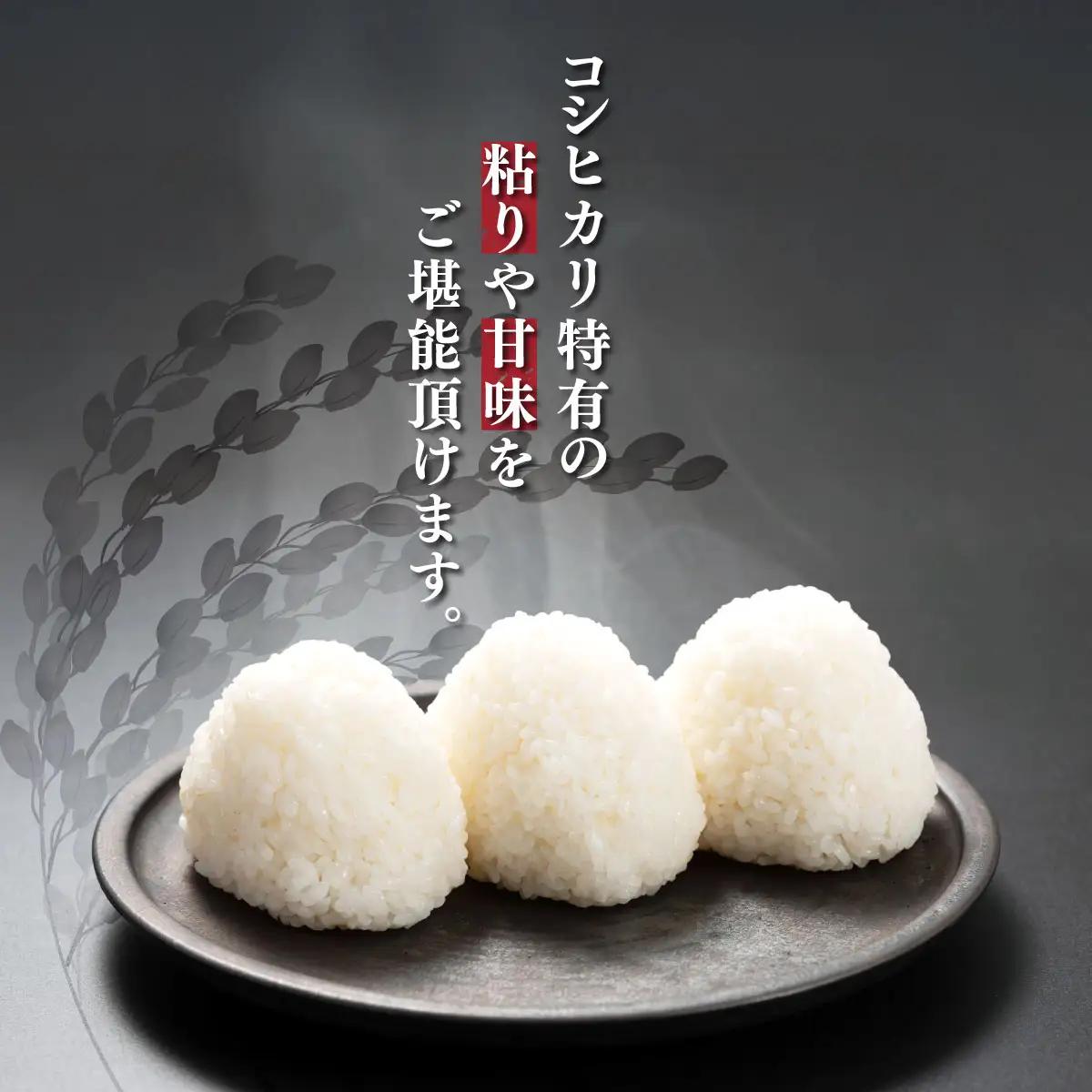 令和8年度産  上総の純粋米  「コシヒカリ」  20kg (5kg×4) 【厳選】千葉県産   KCV003