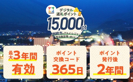 LOCOPAYデジタル返礼ポイント【15,000ポイント】