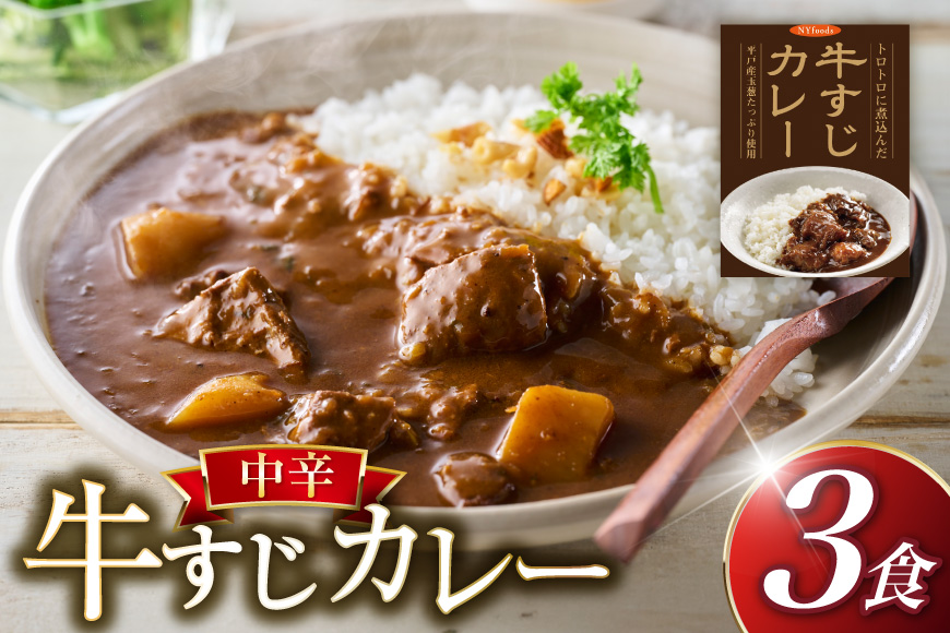 カレー 牛すじカレー 3食 セット 中辛 [カレー工房NVfoods 長崎県 平戸市 hr42bgy400226] 牛すじ スパイス レトルト レトルトカレー 簡単 便利 時短