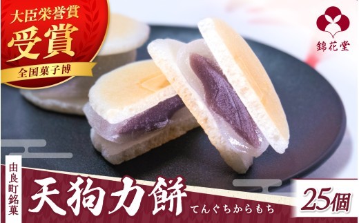
                  老舗の味 天狗力餅25個入　和菓子　力もち　こし餡　職人の手作り / 銘菓 和菓子 こしあん 由良町 お取り寄せ お土産 ギフト 和歌山県【knkd002A】
                