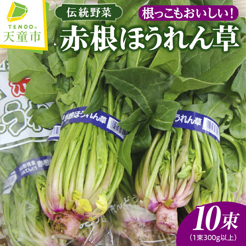 【ふるさと納税】根っこもおいしい！ 赤根 ほうれん草 10束 1束 300g以上 野菜 ホウレンソウ 柔らかい 甘い のし 贈答 ギフト プレゼント おすそ分け お取り寄せ 送料無料 【 山形県 天童市 】