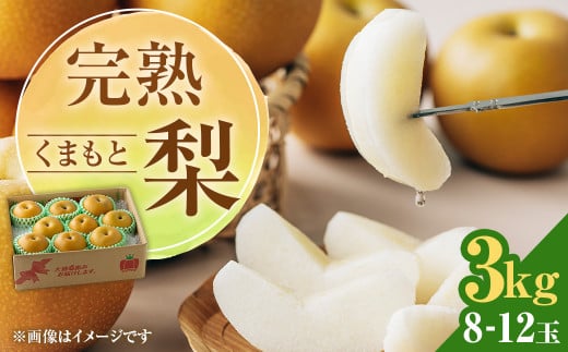 完熟 くまもと梨 3kg 【2026年8月下旬発送予定】 果物 フルーツ なし