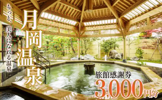 旅行券 月岡温泉 利用券 感謝券 3,000円分 ( 1,000円 × 3枚 )  母の日 新潟県 温泉 旅行 宿泊 宿泊チケット 旅行チケット チケット 体験 トラベル チケット 観る 遊ぶ 食べる 泊まる 金券 風呂 ホテル 旅館 老舗 観光 観光地 国内旅行 旅行券 宿泊券 利用券 ゴルフ 国内 新潟 新発田 A01