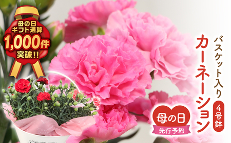 先行予約 母の日 カーネーション 2種 4号鉢 バスケット 福島県 田村市