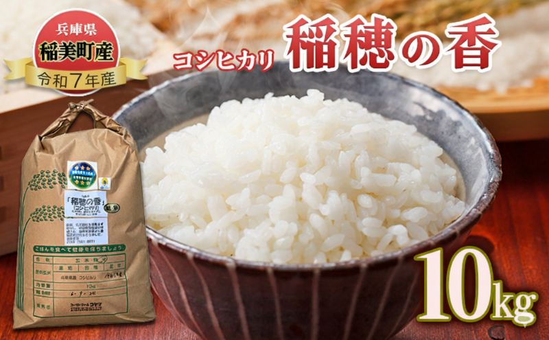 【令和7年産】米 コシヒカリ 稲穂の香 10kg 精米 白米 お米 