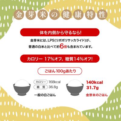 ふるさと納税 飯能市 【定期便】埼玉県産 金芽米(彩のきずな) 5kg×6ヶ月分 |  | 02