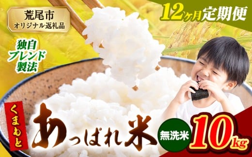 【12ヶ月定期便】熊本県産 くまもとあっぱれ米 ブレンド米 10kg 熊本県産 ふるさと納税 無洗米 精米 米 こめ ふるさとのうぜい コメ お米 おこめ《お申込み翌月から出荷》