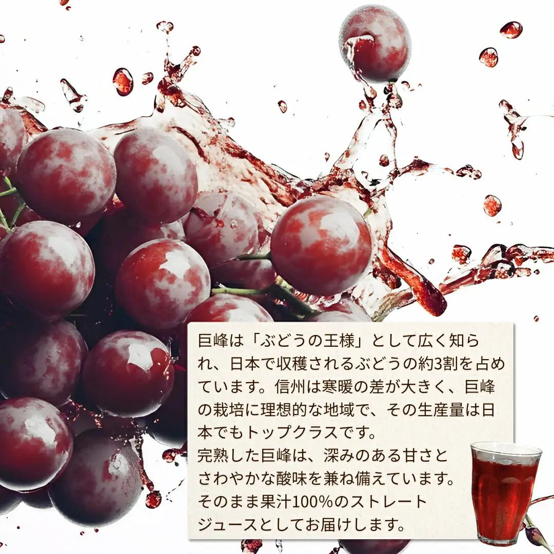 りんご・巨峰・白桃ストレート果汁100%ジュース 3本セット 1L×各1本 計3本|りんごジュース 桃 ぶどう