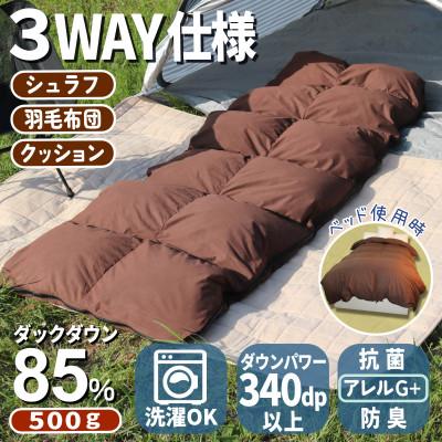 ふるさと納税 広川町 羽毛シュラフ(寝袋)×ダウンケット×ボルスタークッション 3WAY寝袋 ダウン85% 0.5kg使用
